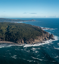 chile