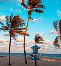 miami